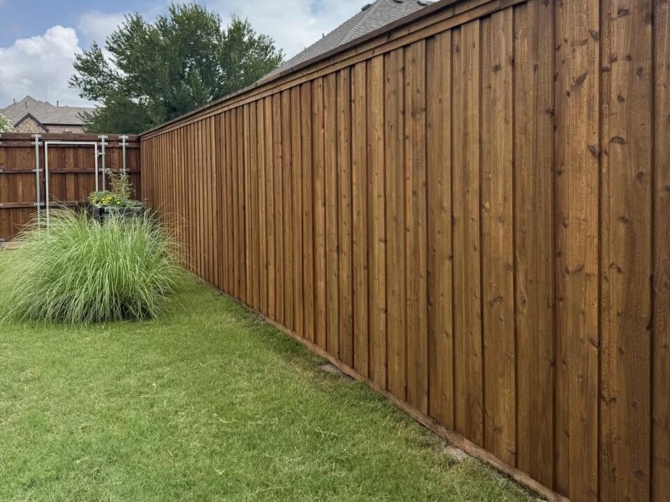 staining fence